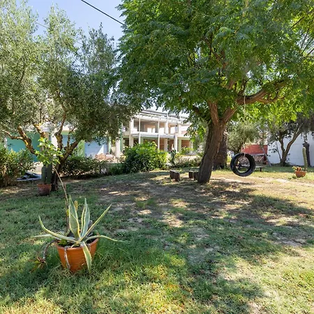 Palm Studios, 350m From Agios Sostis Beach, By Zantewize Apartman *